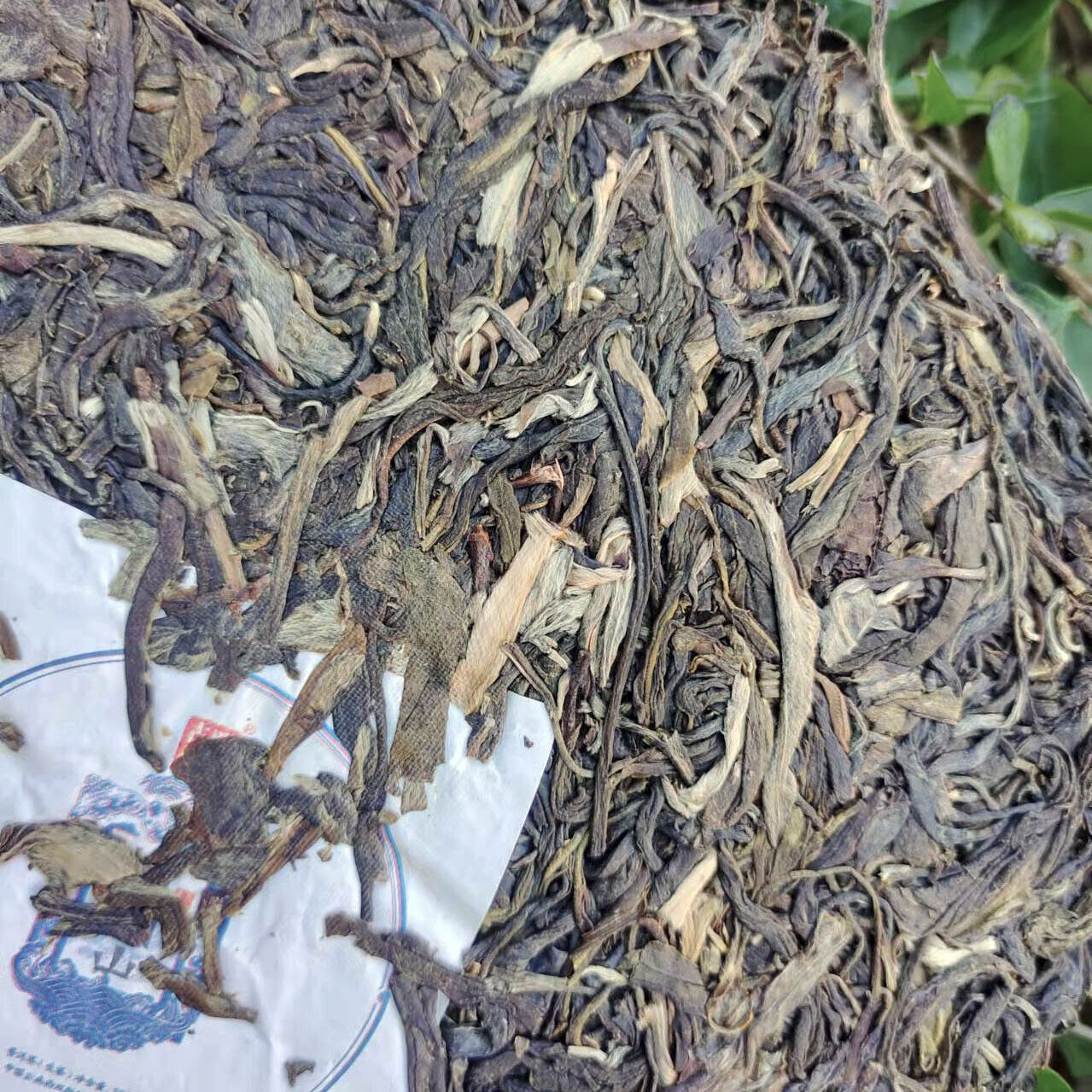 Pu'er Raw Tea Cake Pu'er Tea Brown Mountain Ancient Tree Tightly Pressed 357g