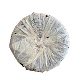 Organic Unfermented Puerh Cha Bing Famous Yunnan Shen Puer Tea Cake 400g