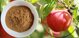 250g Apple Peel Extract Organic Apple Polyphenol Apple Peel Extract Powder