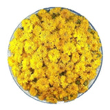Chrysanthemum TeaWuyuan Authentic Huangshan Royal Chrysanthemum Tea