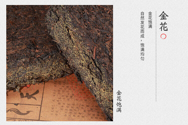 920g Anhua black tea Tianjian Fu brick black tea raw tea golden flower black tea