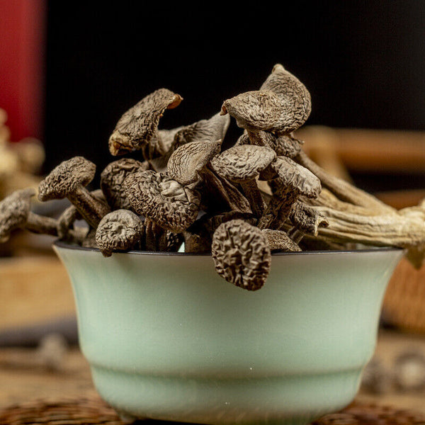 Hot Pot Specialty Fresh Crispy Popular Deer Mushroom Dried for Soup