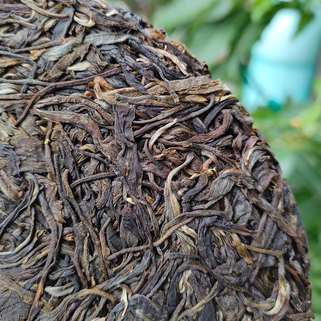 Yunnan Menghai Meng Song Slippery Bamboo Liangzi Early Spring Pu-erh Raw Tea357g