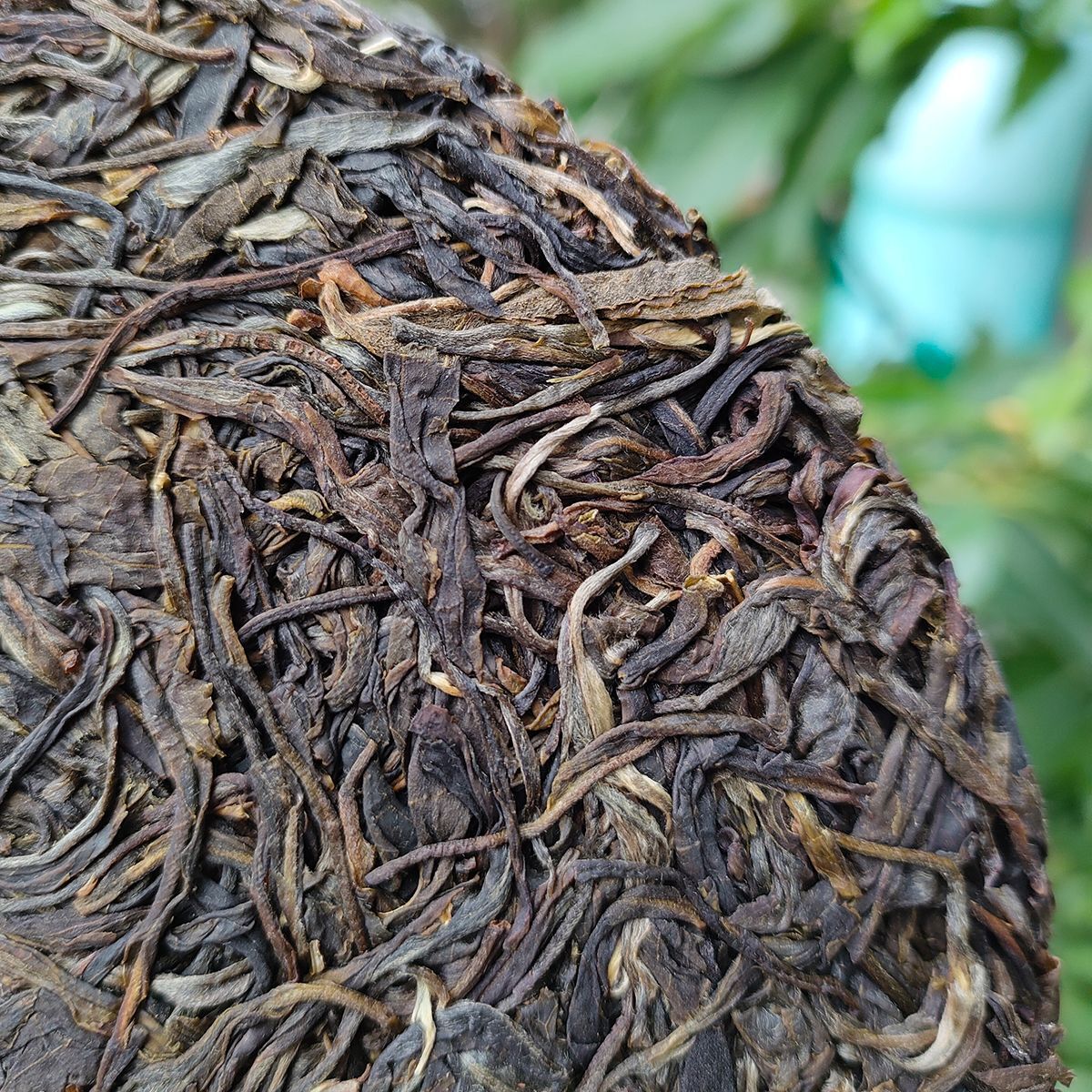 Yunnan Menghai Meng Song Slippery Bamboo Liangzi Early Spring Pu-erh Raw Tea357g