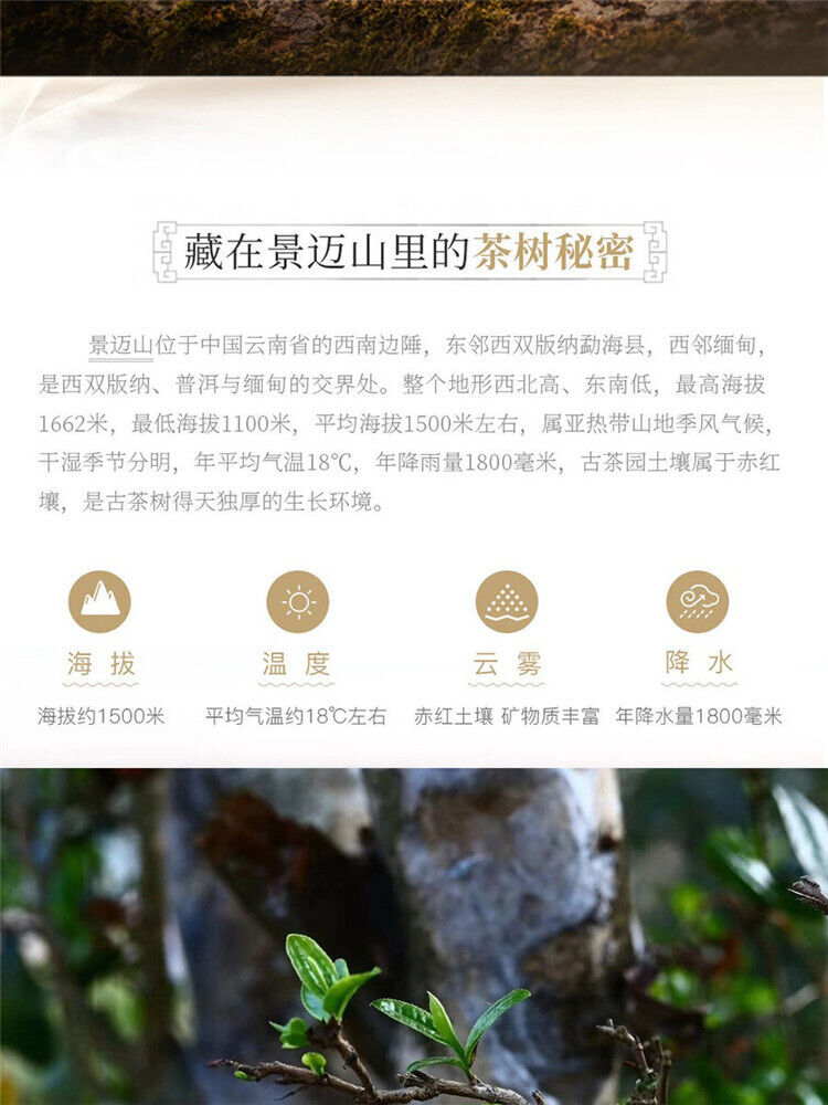 357g Honey Fragrant Sweet Yunnan Pu'er Tea Raw Tea Jingmai Green Qizi Cake Tea