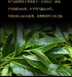 300g Yunnan Pu'er Tea Iceland Gold Bar Old Tree Raw Tea Tea Leaf Raw Pu