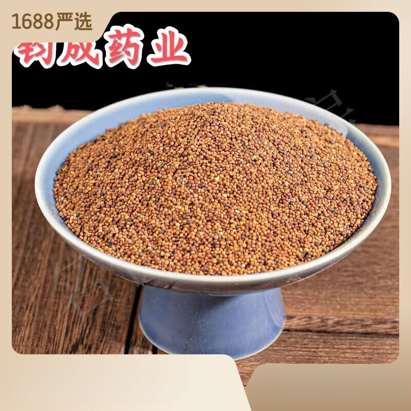 High Quality Chinese Dodder Seed Sulfur Free New Products Herbal Tea Tusizi 菟丝子 Secondary image
