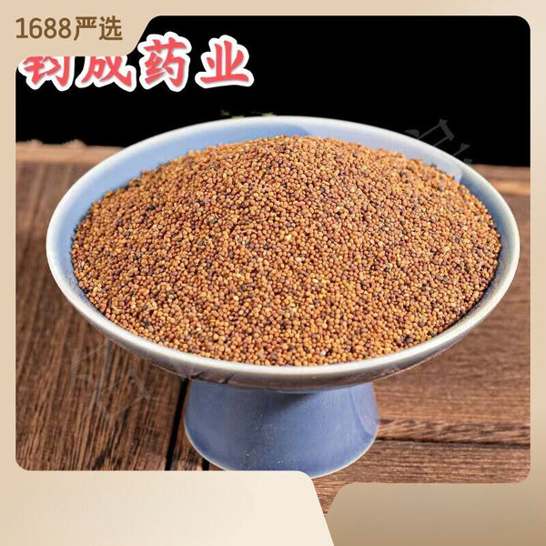 High Quality Chinese Dodder Seed Sulfur Free New Products Herbal Tea Tusizi 菟丝子