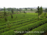 Dark Tea The Fourth Grade 250g