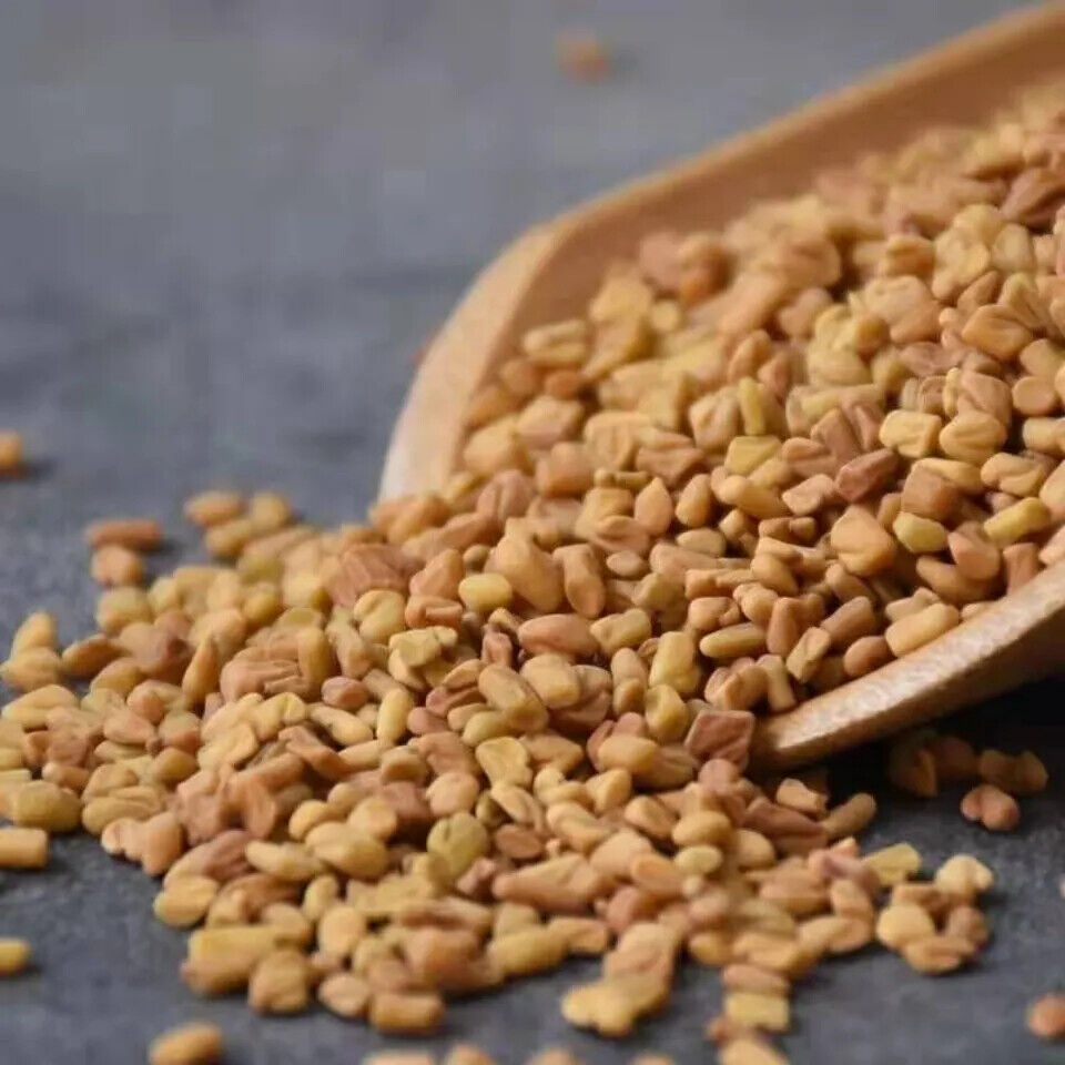 Organic Fenugreek Seeds (8.8 OZ) - Gluten Free , Non-GMO Fresh Methi Seeds Whole Secondary image