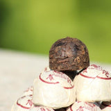 Lao Banzhang Pu'er Tea Palace Tribute Mini Tuo Tea Tree Fermentation