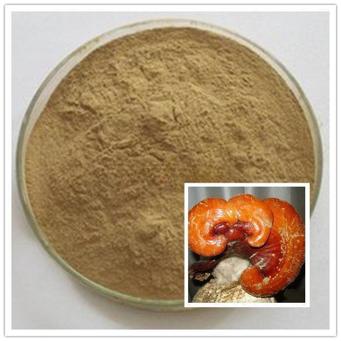200g Niu Zhang Zhi Organic Antrodia Camphorata Extract 10:1 Powder Main image