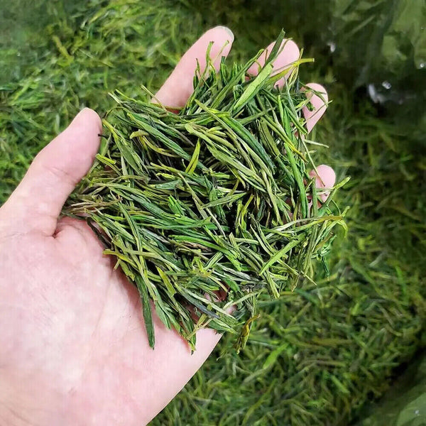 Anji White Green Tea Hand-picked Early Spring Tea High Quality Famous Loose Leaf