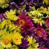 Taiwan Jiupin Perfumed Lotus Flower Tea New Flower Golden Lotus Lotus Flower Tea