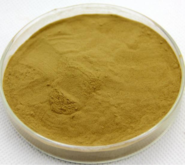 100g Chinese Herb, Natural Health Support Nettle Root Extract Powder 12:1 Main image