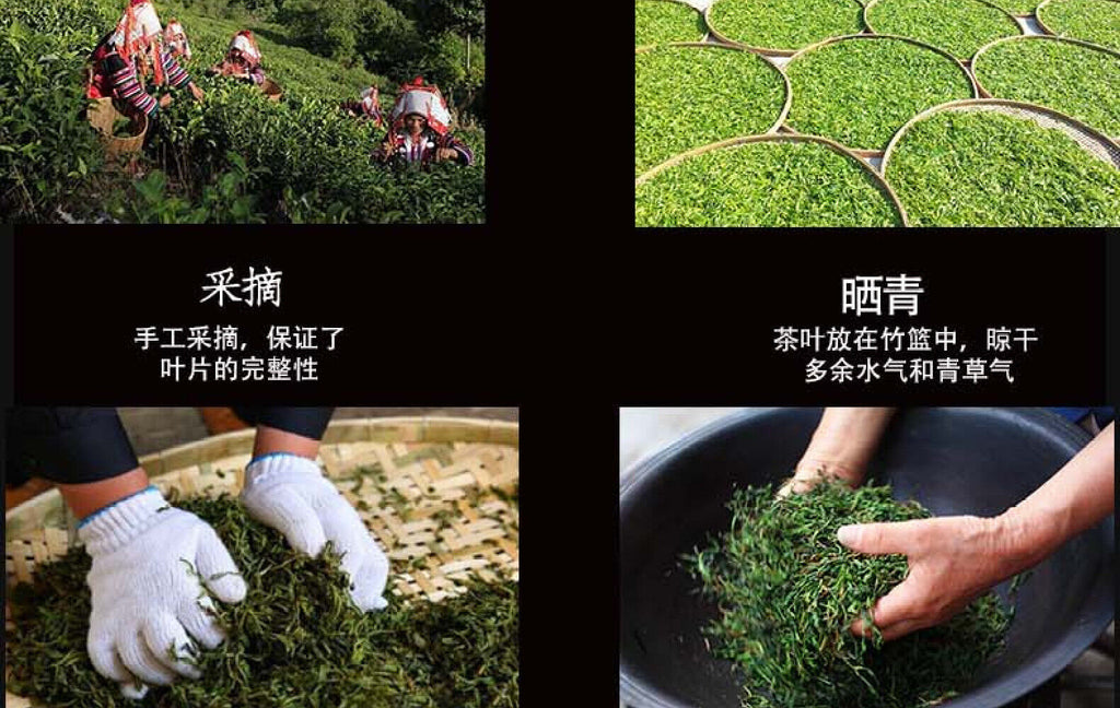 Yunnan Tea Lincang Mengku Icelandic Mother Tree Pu'er Raw Tea 357g Cake Tea
