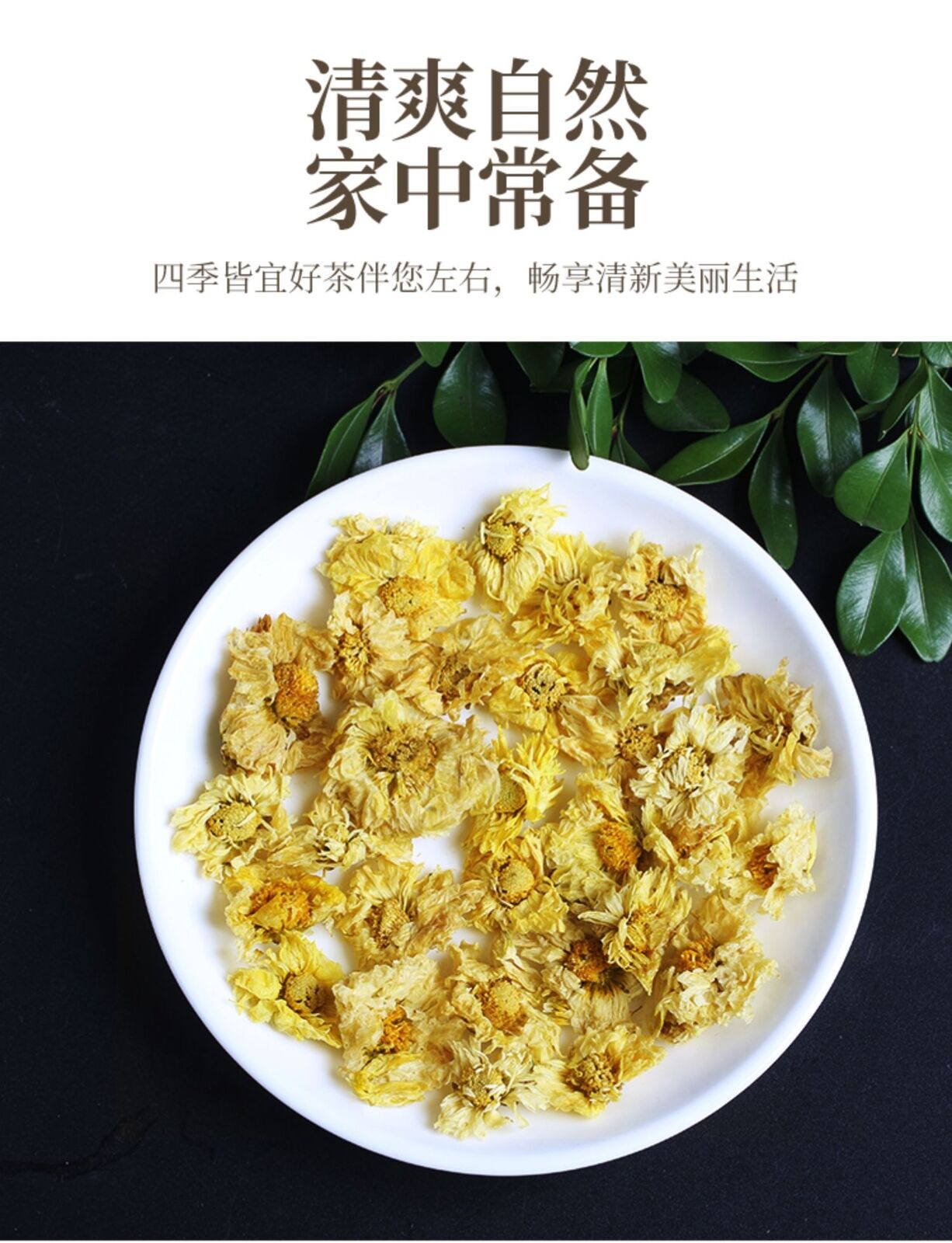 Special Grade Chrysanthemum Tea Hangzhou White Chrysanthemum Herbal Tea