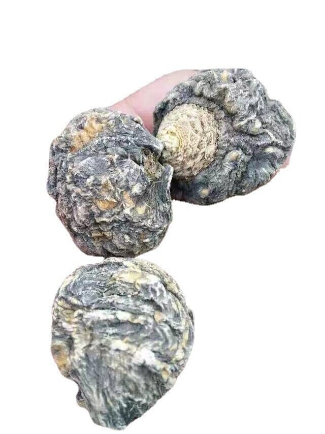 Extra Large Black Maca Kali River Maca Yunnan Maca Raw Materials Dried Fruits
