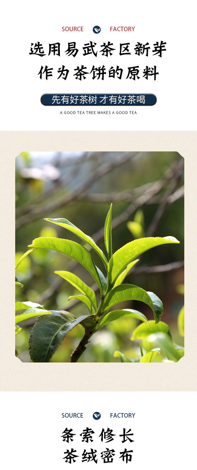 357g Yunnan Pu'er Tea Cake Yiwu Raw Tea Tightly Pressed Pu'er Tea Cake