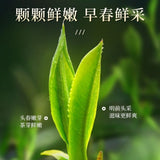 Top Grade Biluochun Pre Qingming New Tea Authentic High Mountain 100g