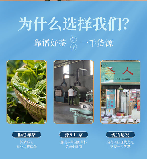 Grade Two Phoenix Style Pre-Qingming Gift Box Green Tea 125g New Anji White Tea