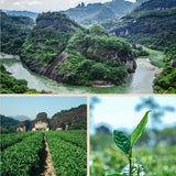 Loose Leaf Dahongpao Tea Black Tea Big Red Robe 250g Oolong Tea Da Hong Pao Tea