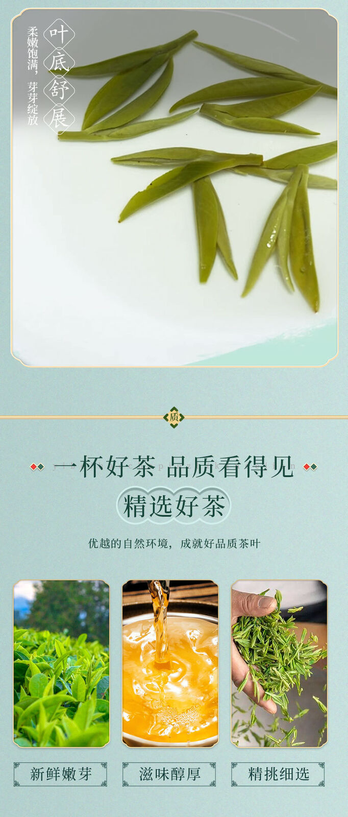 Green Tea Exquisite Gift Box Yuhua High Quality Tea Organic 96g