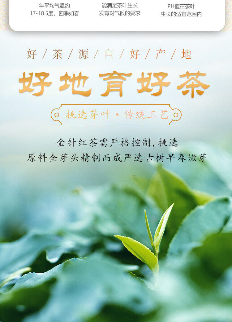 Yunnan Black Tea KungFu Black Tea Fengqing Lijie Gold Needle Honey Gold Bud8.8oz