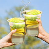 Flower Fruit Tea Bitter Melon Lemon Tea Freeze-dried Lemon Slices Health Tea