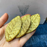 500g Golden Leaf Pu-erh Raw Tea Menghai Big Tree Golden Leaf Tea