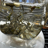 Spring River Water Bagged Glutinous Rice Fragrance Tea 100g Aromatic Green Tea