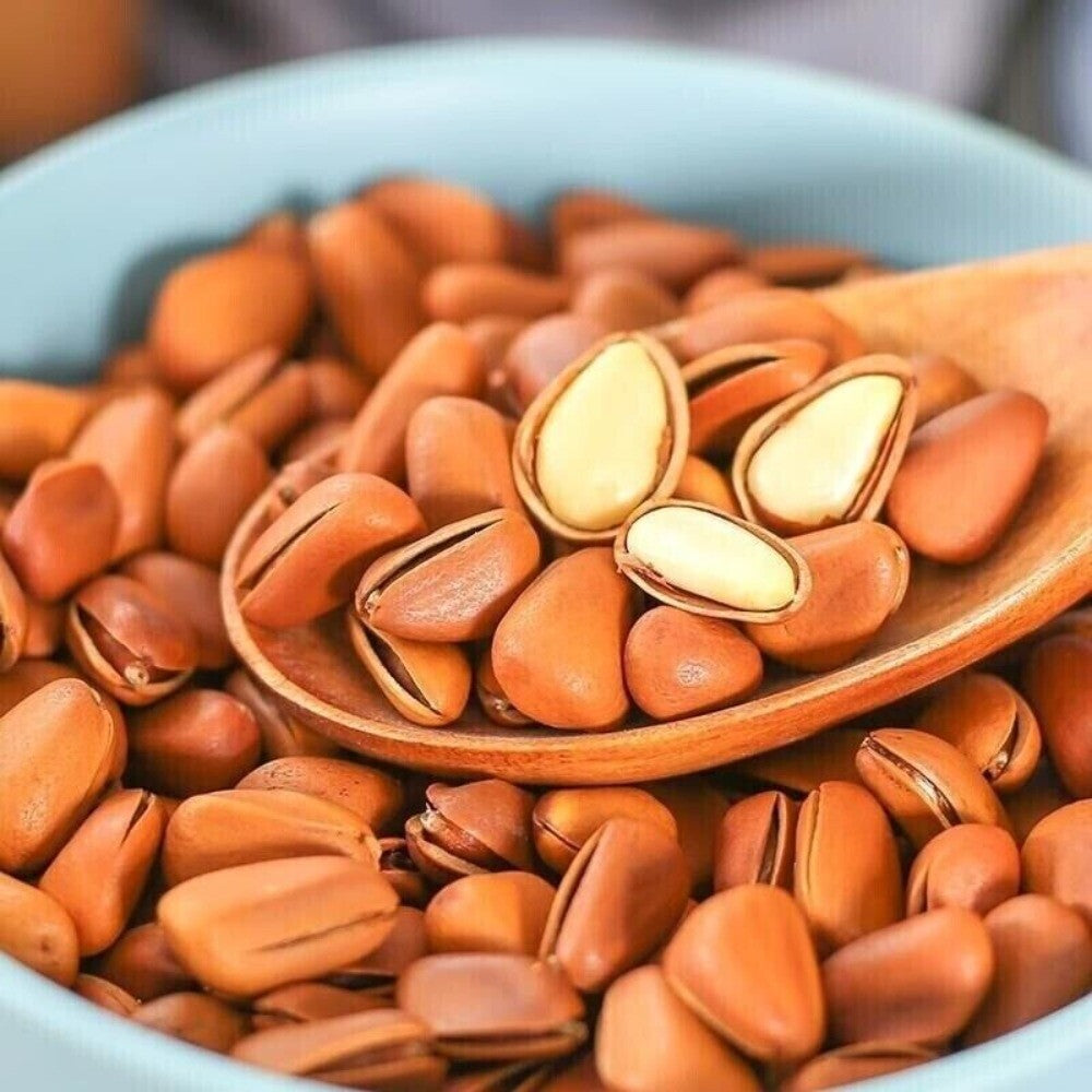 Premium Pine Nuts Large Kernel Handpicked Healthy Snack Natural Protein Main image