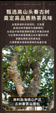 Pu'er Tea Cooked Tea Mellow 357G Yunnan Menghai Ancient Tea Aged Ripe Pu'er Tea