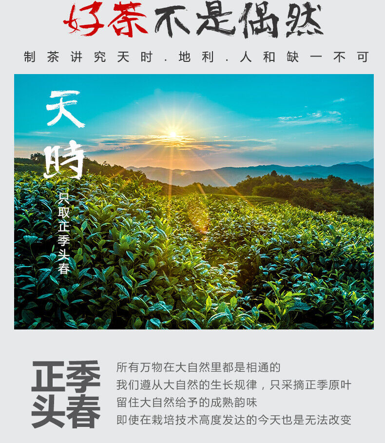 Liubei Jinjunmei Black Tea Honey Aroma Type Wuyishan Tongmuguan New Tea 125g