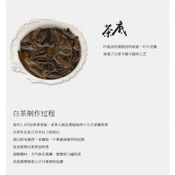 Fuding White Tea Shou Mei Tea Cake Gift Tea 100g*3 Alpine Sun Date White Tea
