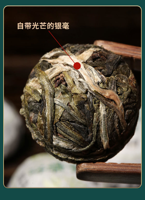 Thé Pu'er thé cru thé du début du printemps grand arbre petit thé Tuo Pu'er 500g