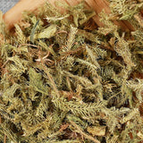 500g Healthy Drink, Healthy Original Herbal Tea, Lycopodium Clavatum