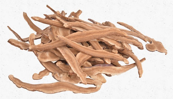 Organic Herb Healthy Food Dried Wild Lingzhi Red Reishi Mushrooms Ganoderma 250g