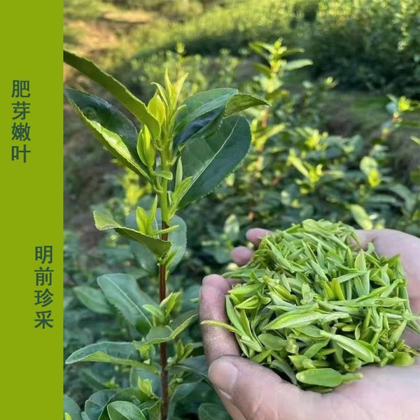 Qiandao Longjing Green Tea 100g Mountain Spring Tea High Quality Daily Drink