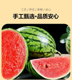 Natural Watermelon Powder Cake Baking Concentrated Watermelon Juice No Adding