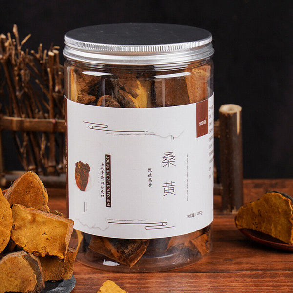 SANGHUANG Phellinus Linteus Phellinus Maulbeere Natürlich, biologisch 桑黄 200g