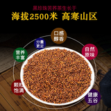 Black Tartary Buckwheat Tea Grain Tea Herbal Tea 500g/Can Premium Roasted