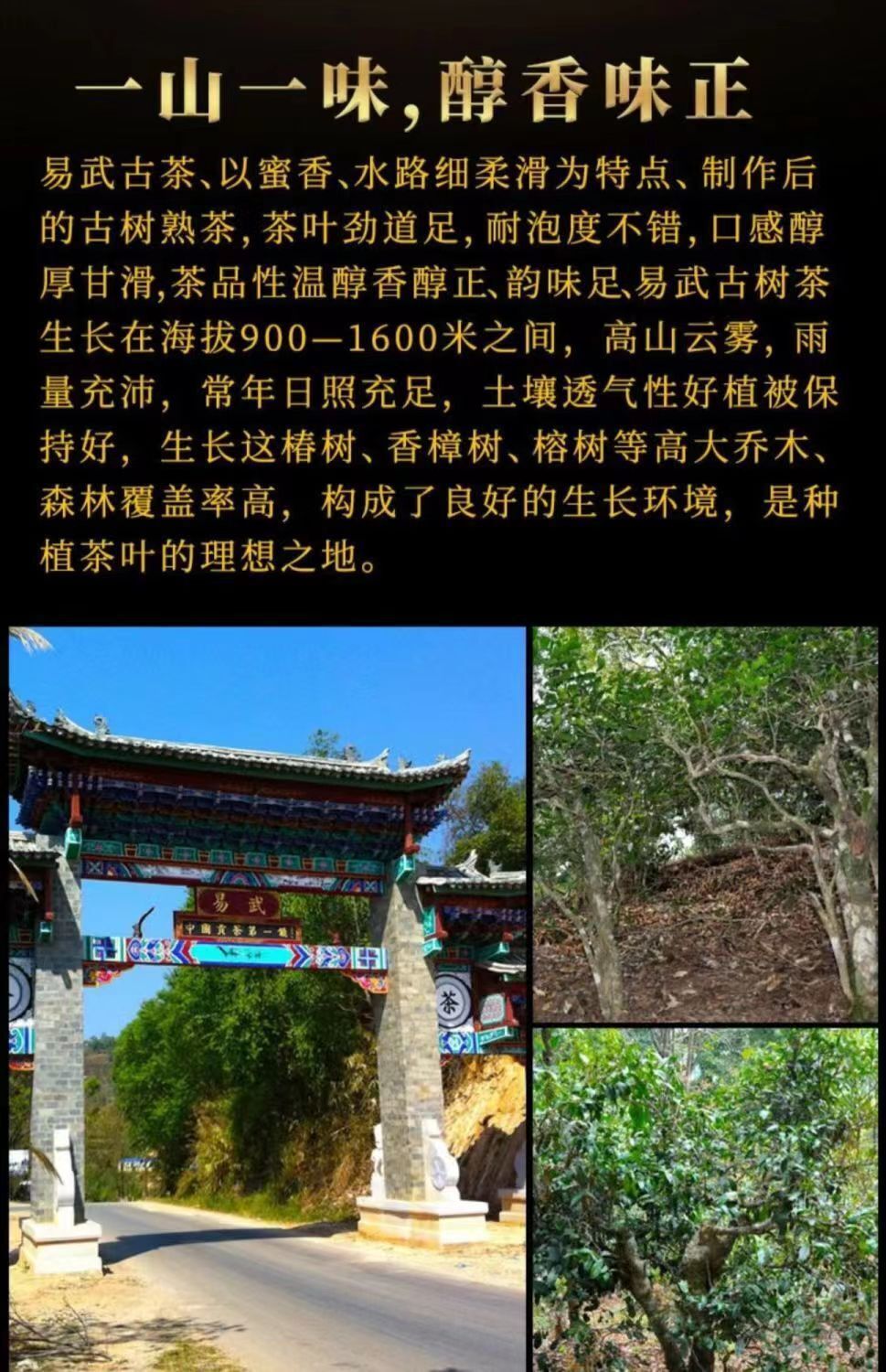 Yunnan Ancient Tree Old Pu'er Tea Cake Ripe Tea Cake 357g