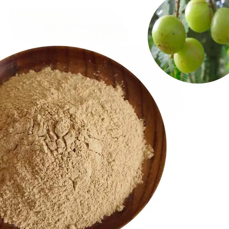 Organic Amla Powder (3.53OZ) Amla Powder for Hair Growth (Indian Gooseberry)