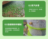 Organic Matcha Powder for Drinking Pure Matcha Tea Powder Green Tea 100g/Canned
