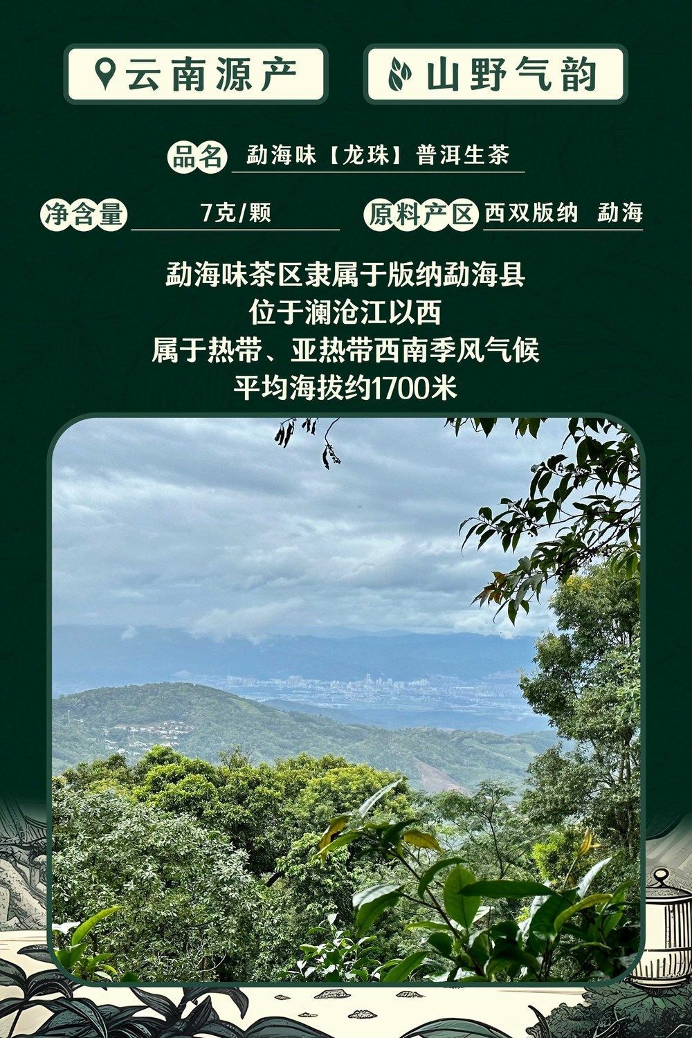 Chen Xiang Ban Zhang Raw Tea Long Zhu Puerh Tea Palace Puerh
