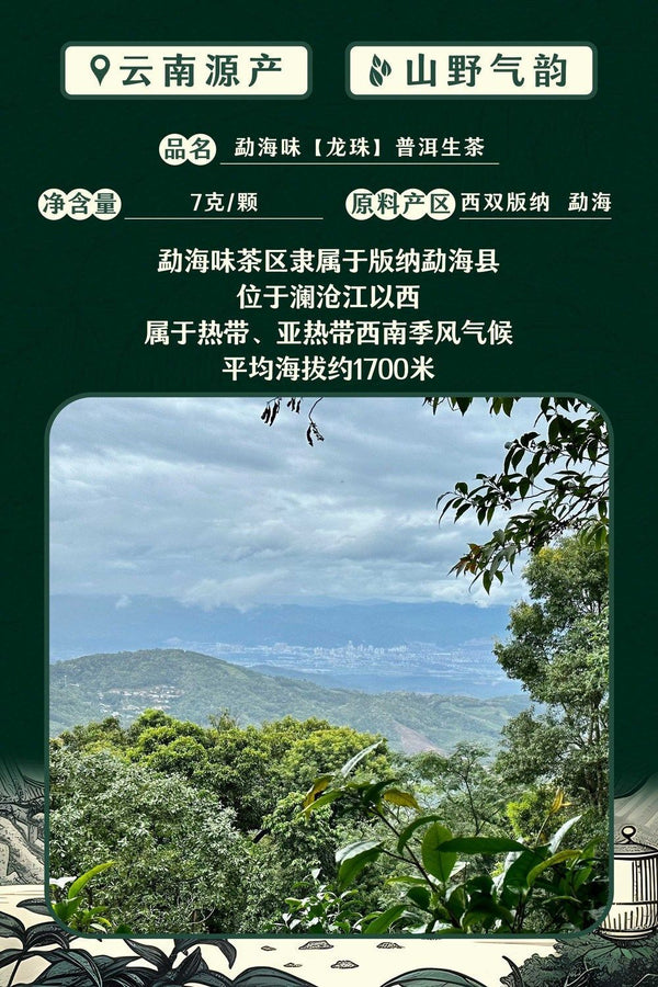 Chen Xiang Ban Zhang Raw Tea Long Zhu Puerh Tea Palace Puerh