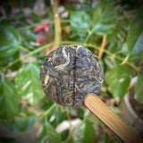 Mini Puerh Tea Cake 6g Raw Puerh Bing Cha Bingdao Sweet Tea Cake