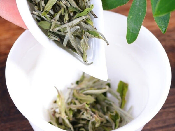 White Peony White Tea Fujian Tea White Tea 100g