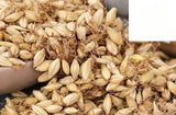 Mai Ya/麦芽/High Quality/Malt/Fructus Hordei Germinatus Malt
